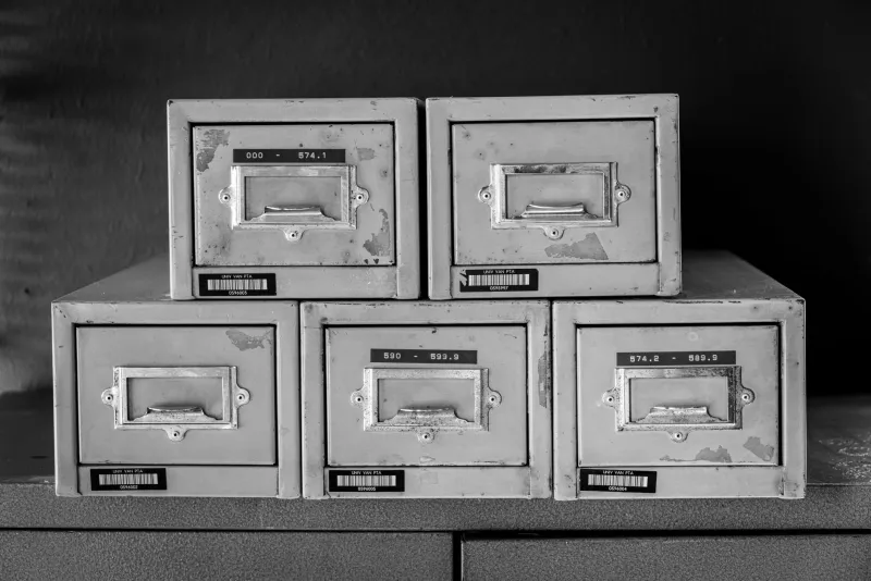 Dead Weight: How Your Brand's Aging Content Archive Is Quietly Working Against You